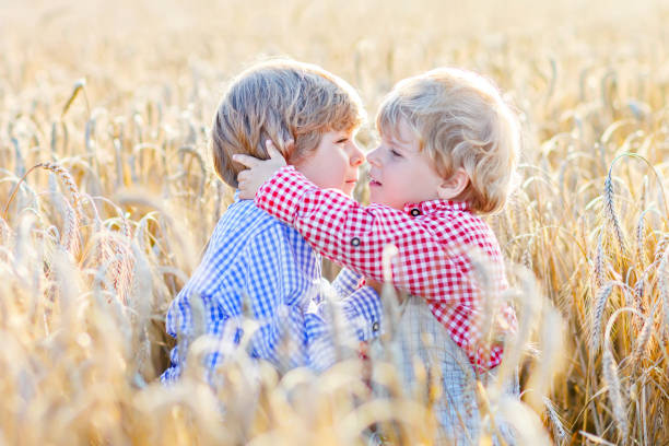 istock Two little sibling boys having fun and hugging on yellow wheat field 695850392