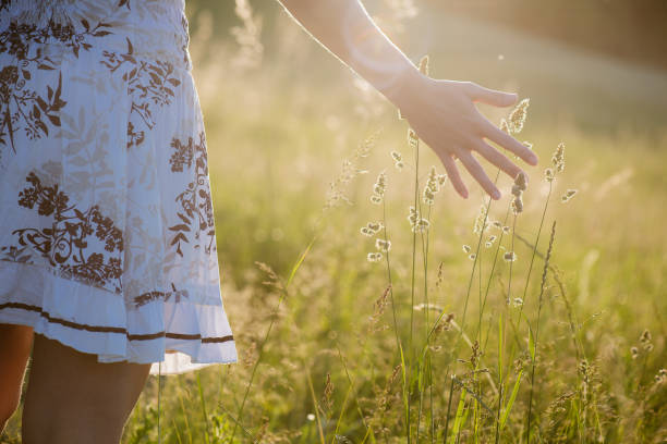 istock Girl hand touching spring flowers at sunset 695854308