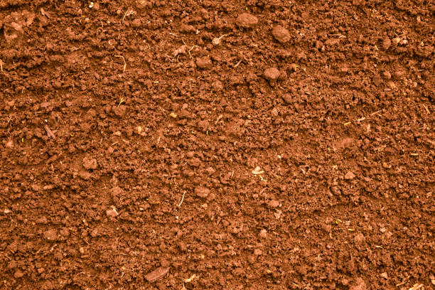 istock Coffee color plowed dirt. Background and texture 695859034