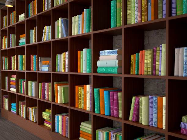 istock Wooden racks with different books. Library. 3d illustration. 695877104