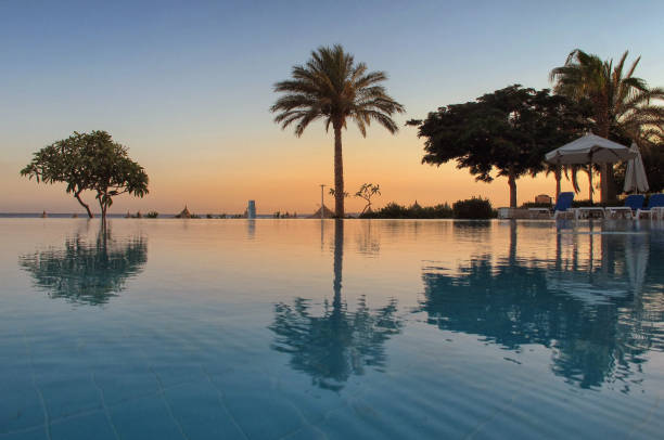 istock Tropical swimming pool at sunrise 695884996