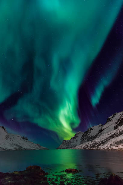 istock Northern lights in scandinavia 695888712