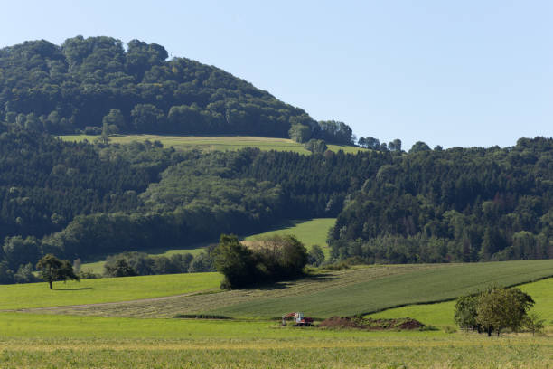istock landscape in summer blue sky with tree and road and cornfield beside 695889516
