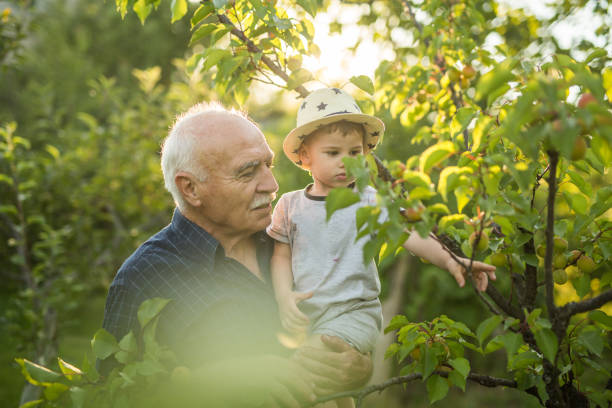 istock Two of us picking cherries 695889850