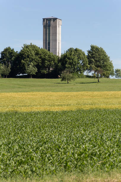 istock landscape in summer blue sky with tree and road and cornfield beside 695890842