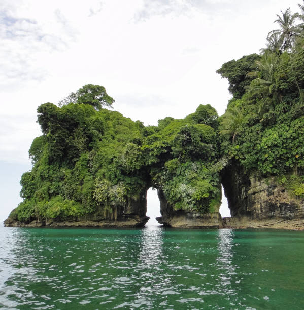 istock Bird's island (Isla Pajaros). Bocas del Toro archipelago. Panama. Central America 695900768