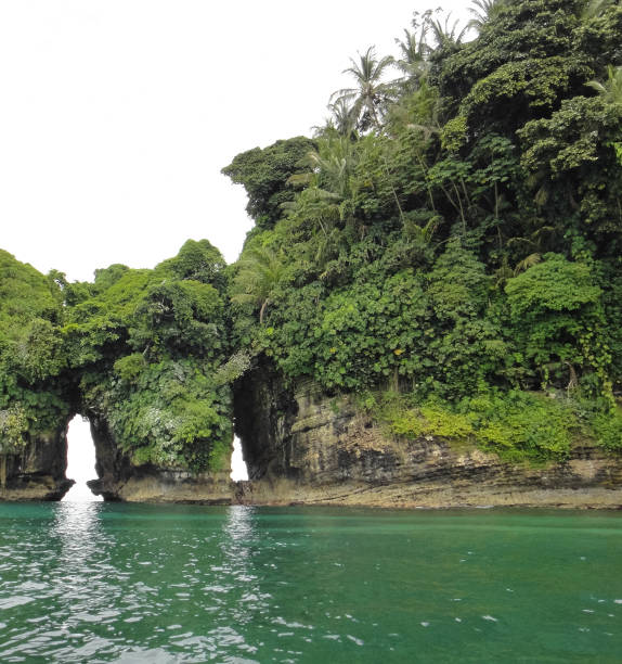 istock Bird's island (Isla Pajaros). Bocas del Toro archipelago. Panama. Central America 695901416