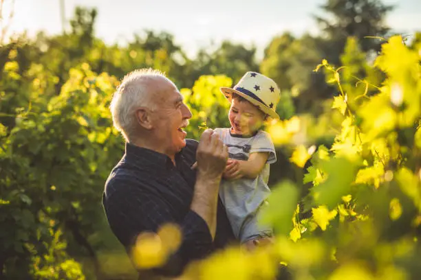 Grandfather and grandson having a great time in the vineyard together on a beautiful summer day during the sunset