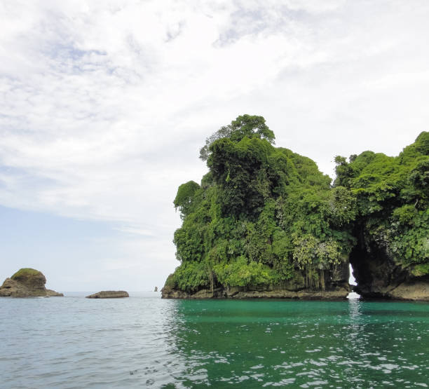 istock Bird's island (Isla Pajaros). Bocas del Toro archipelago. Panama. Central America 695904108