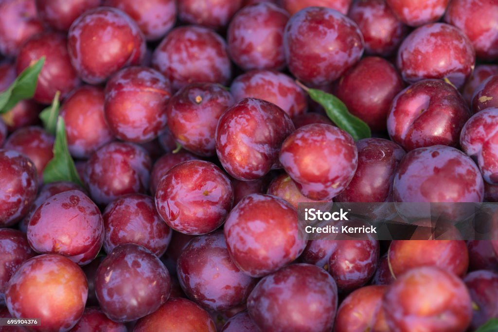 plum fruits on market Plum Stock Photo