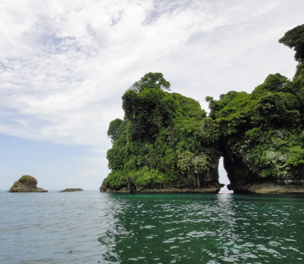 istock Bird's island (Isla Pajaros). Bocas del Toro archipelago. Panama. Central America 695904434