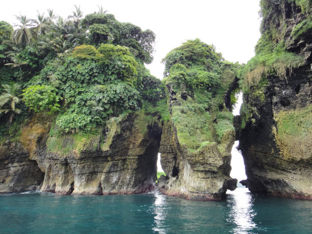 istock Bird's island (Isla Pajaros). Bocas del Toro archipelago. Panama. Central America 695904550