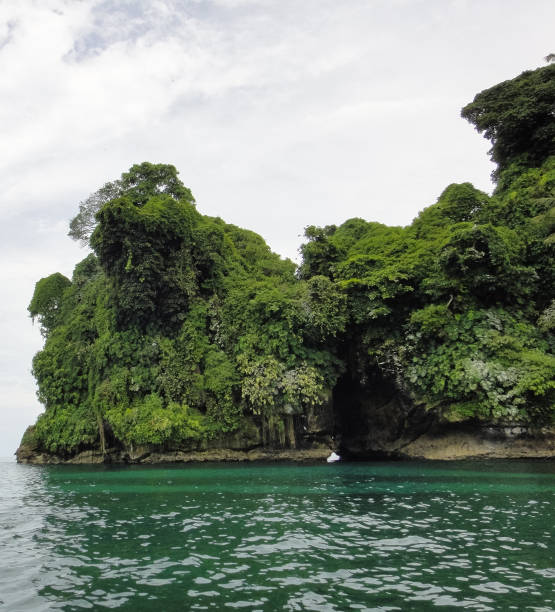 istock Bird's island (Isla Pajaros). Bocas del Toro archipelago. Panama. Central America 695904662