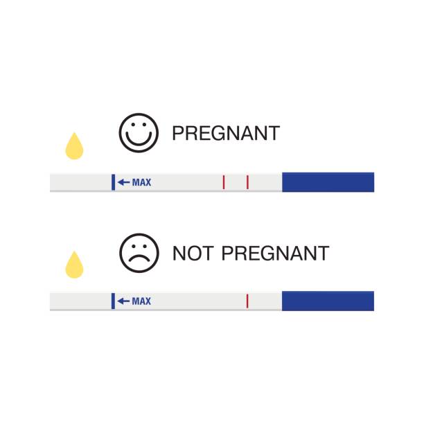 illustrazioni stock, clip art, cartoni animati e icone di tendenza di due test di gravidanza. - pregnancy test human pregnancy two objects isolated