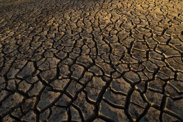 Photo of Cracked Earth Because the ground has been no rain on the land