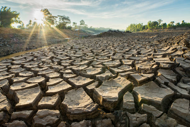 istock Cracked Earth Because the ground has been no rain on the land 695909114