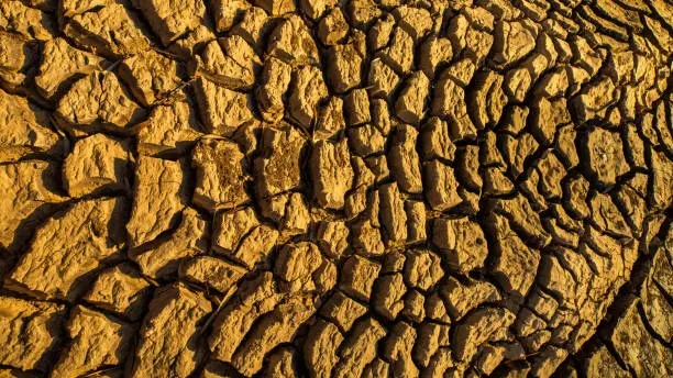 Photo of Cracked Earth Because the ground has been no rain on the land