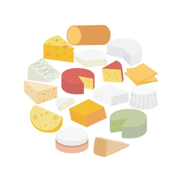 Cheese. Brie, blue, roquefort, camembert, ricotta, feta, maasdam, smoked, pepper Jack, cheddar, american, parmesan, gouda, swiss Vector illustration of for design menus, recipes and packages product. swiss cheese slice stock illustrations