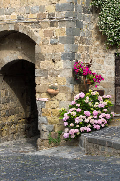 istock Bolsena, Tuscany, Italy: Medieval Stone Arch and Hydrangeas 695915550