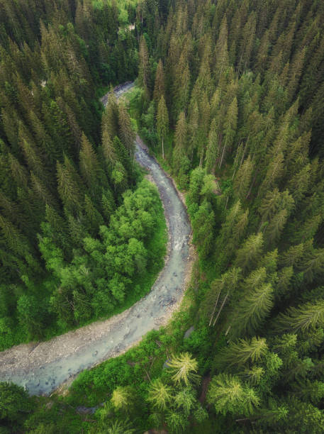 istock Forest and river as a background. Natural background from air 695916118