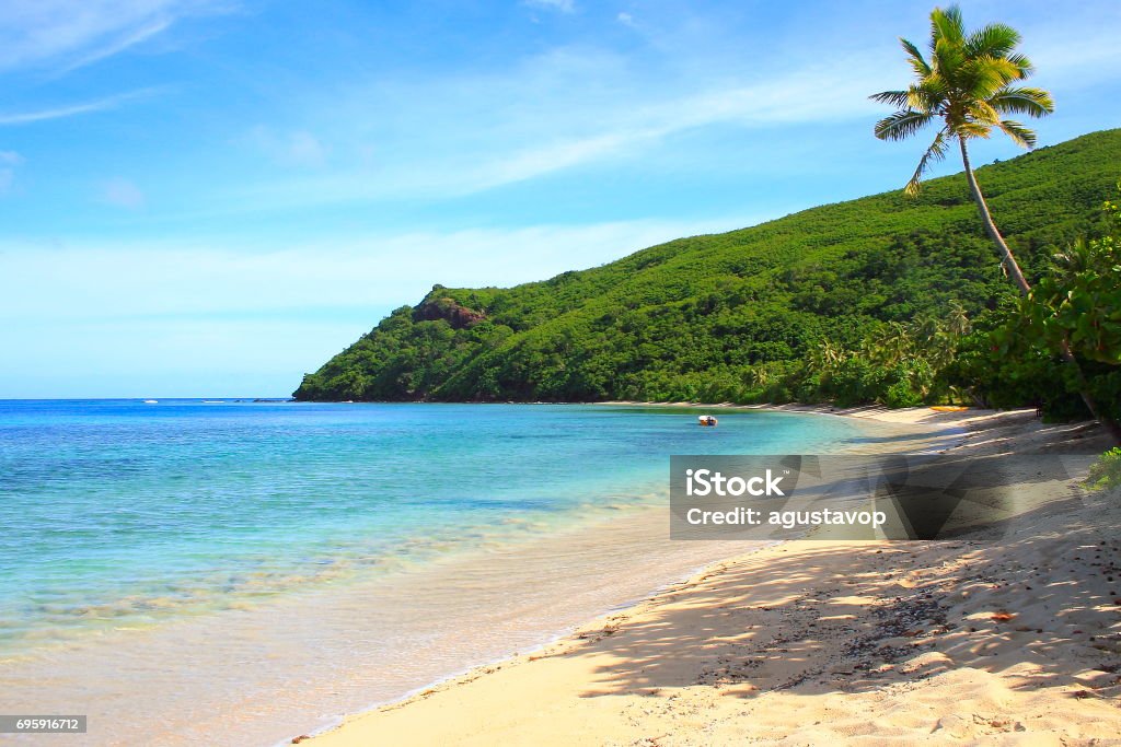 Tropical paradise: Dreamlike Sand deserted turquoise beach and palm trees, Idyllic Yasawas, Fiji Islands Atmospheric Mood Stock Photo