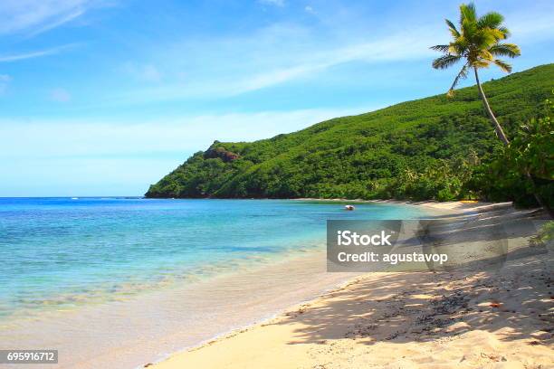 Tropical Paradise Dreamlike Sand Deserted Turquoise Beach And Palm Trees Idyllic Yasawas Fiji Islands Stock Photo - Download Image Now