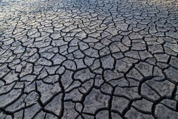 Photo of Cracked Earth Because the ground has been no rain on the land