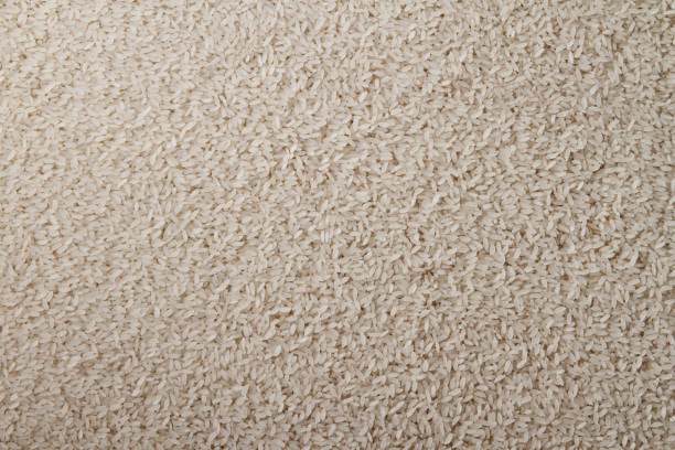 istock Heap of raw rice 695917432