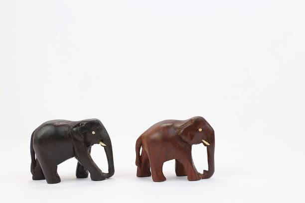 istock Elephants walking together isolated on white background 695924874