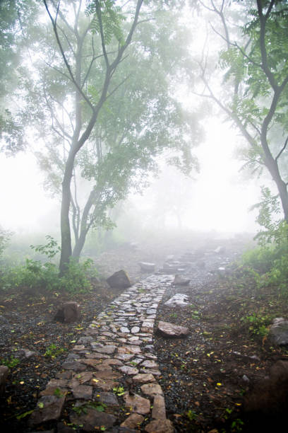 istock Winding path in the fog 695928346