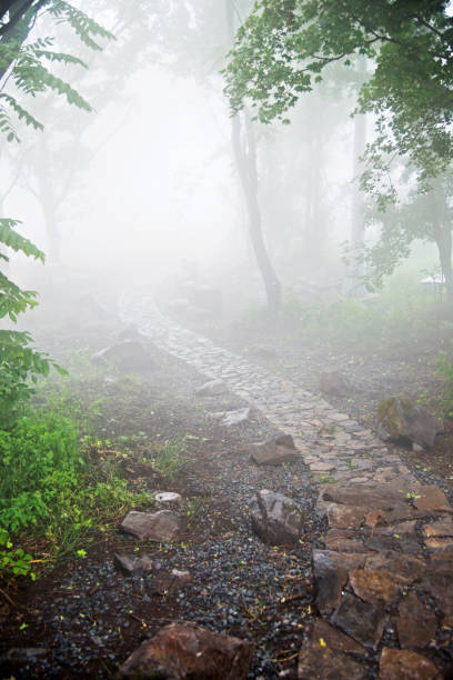 istock Winding path in the fog 695928566