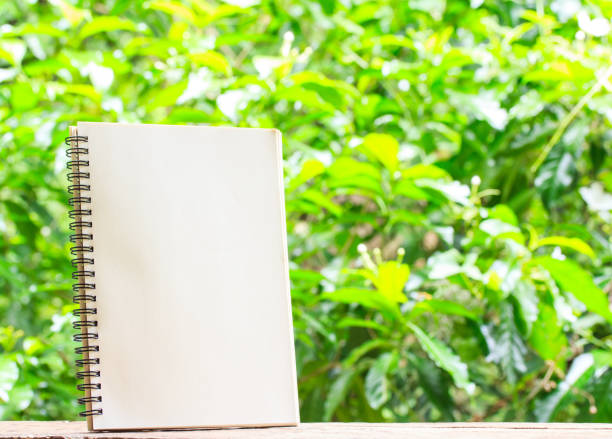 istock Blank book on wooden andNatural background 695929194