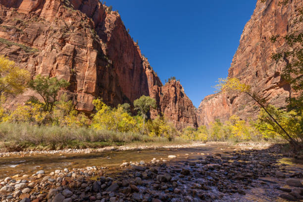 istock Autumn in the Narrows 695932054
