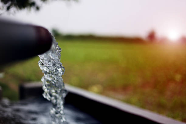 irrigation dans le domaine - canal eau vive photos et images de collection