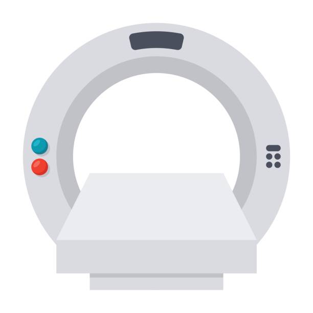 Computer Tomography Icon Computed tomography concept with magnetic resonance imaging scanner, vector illustration in flat style animal internal organ stock illustrations