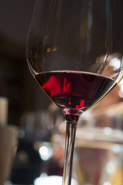 White and red wine tasting, winery Donnafugata, Marsala, Sicily, Itlay, 28 May 2017