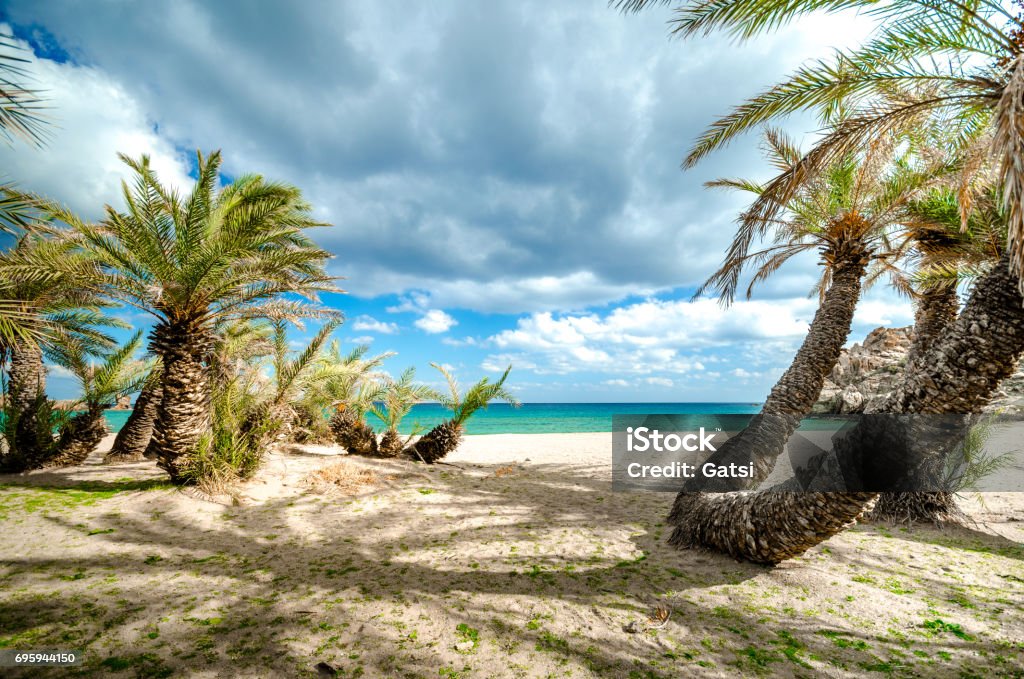 Scenic landscape of palm trees, clouds and tropical beach, Vai, Crete, Greece. Crete Stock Photo
