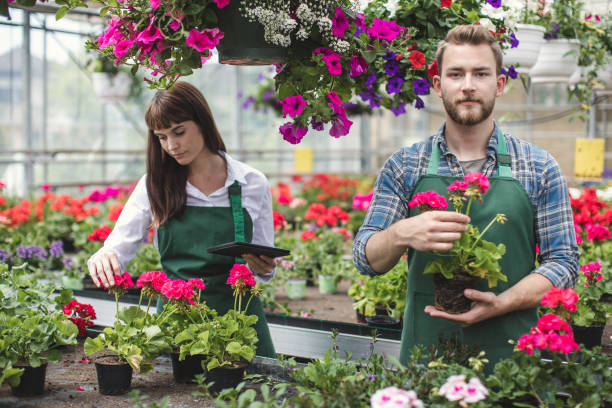 istock Two Workers at the Garden Center 695948948