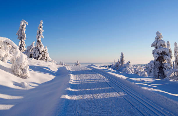 norwegia: idealne warunki do uprawiania narciarstwa biegowego - snow ski zdjęcia i obrazy z banku zdjęć