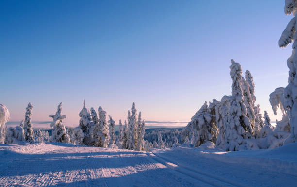 norwegia: piękny widok na przeżytą zimową okolicę - skiing winter snow mountain zdjęcia i obrazy z banku zdjęć