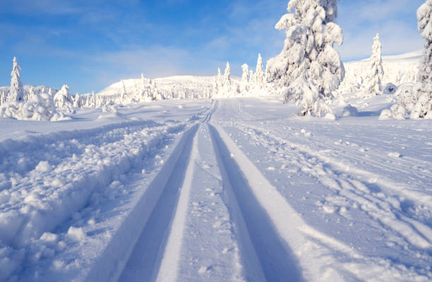norwegia: dreamlike trasy narciarstwa biegowego w styczniu - skiing winter snow mountain zdjęcia i obrazy z banku zdjęć