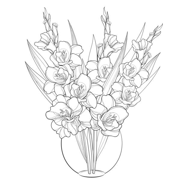 vektor-bouquet mit gladiole oder schwertlilie in runde vase isoliert auf weißem hintergrund. - white background isolated on white isolated gladiolus stock-grafiken, -clipart, -cartoons und -symbole