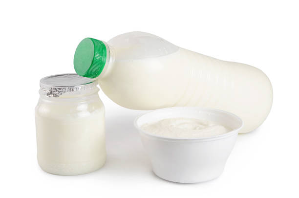istock Milk, yogurt, and Ricotta cheese 695975512