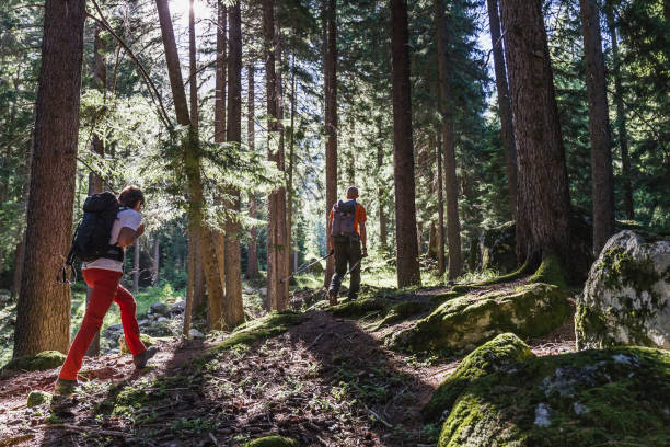 istock Men are hiking into the switzerland forest 695979172