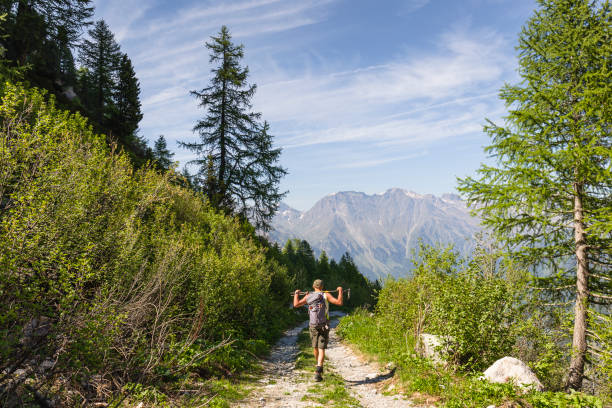 Hiker in Switzerland forest