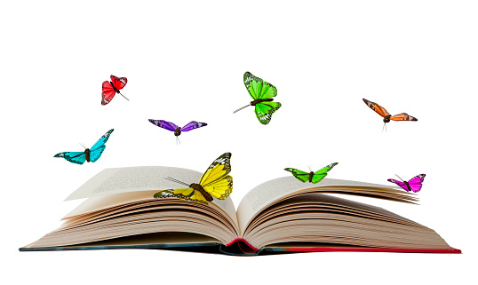Book with Butterflies
