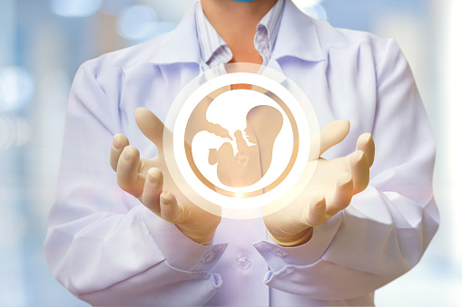En las manos del doctor, el icono del embrión. photo