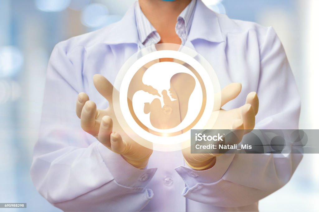 Dans les mains du médecin, l’icône de l’embryon. - Photo de Fertilité humaine libre de droits