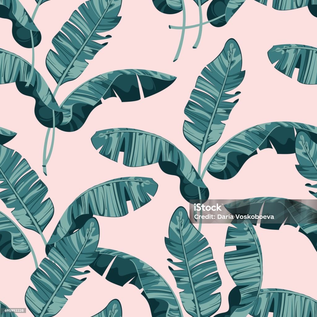 Composition of exotic palm banana leaf on a light pink background. Print summer seamless vector pattern wallpaper Banana Leaf stock vector