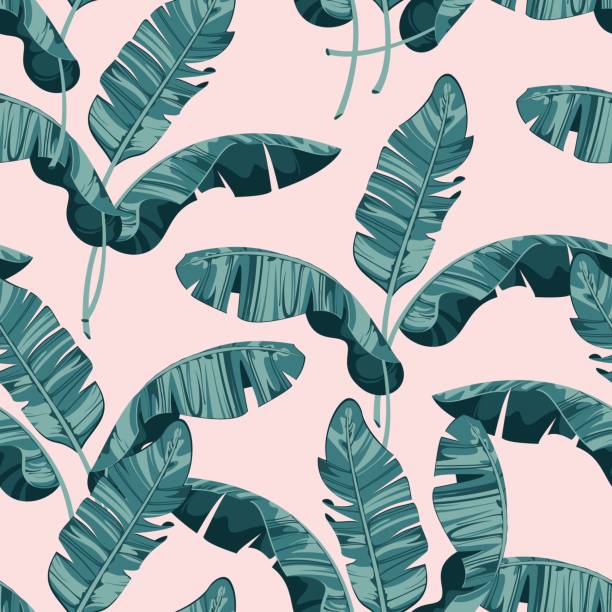 Composition of exotic palm banana leaf on a light pink background. Print summer seamless vector pattern wallpaper Composition of exotic palm banana leaf on a light pink background. Print summer seamless vector pattern wallpaper banana leaf stock illustrations